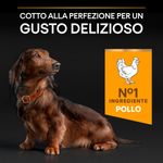 purina-pro-plan-age-defence-small-mini-adult-9-gusto