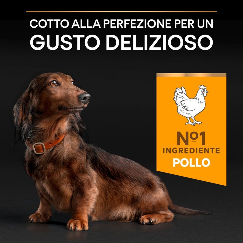 purina-pro-plan-age-defence-small-mini-adult-9-gusto