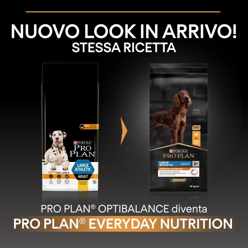 purina-pro-plan-everyday-nutrition-large-athletic-adult-transizione