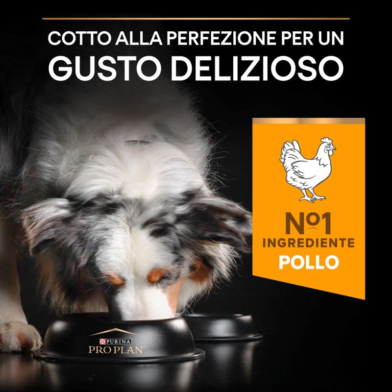 purina-pro-plan-light-sterilised-adult-gusto