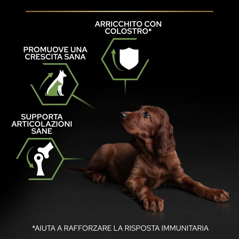purina-pro-plan-healty-start-large-athletic-puppycane