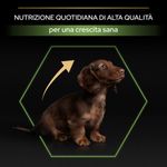 purina-pro-plan-healty-start-large-athletic-puppy-nutrizione