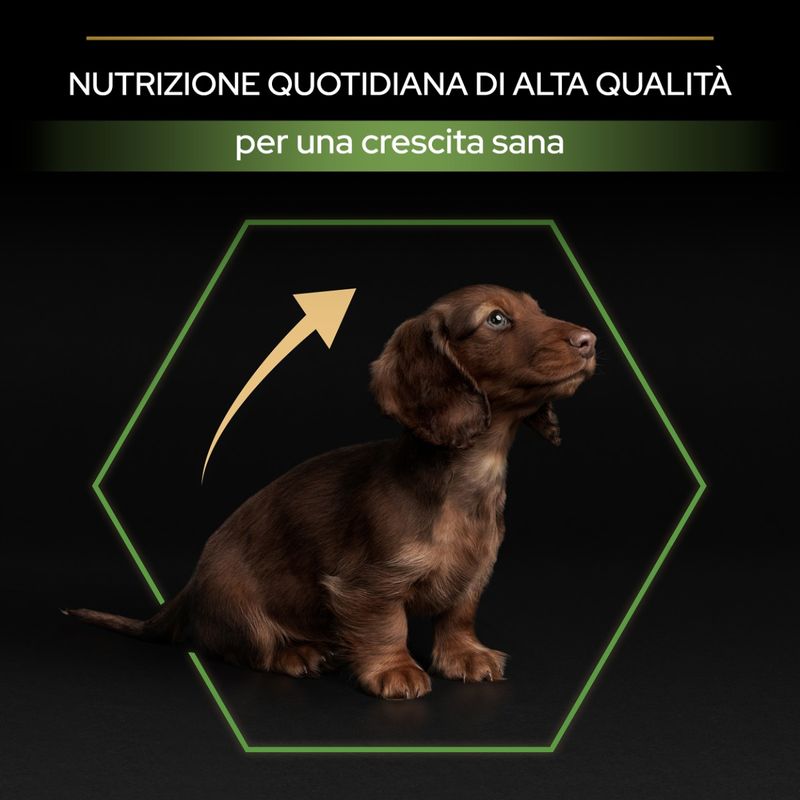 purina-pro-plan-healty-start-large-athletic-puppy-nutrizione