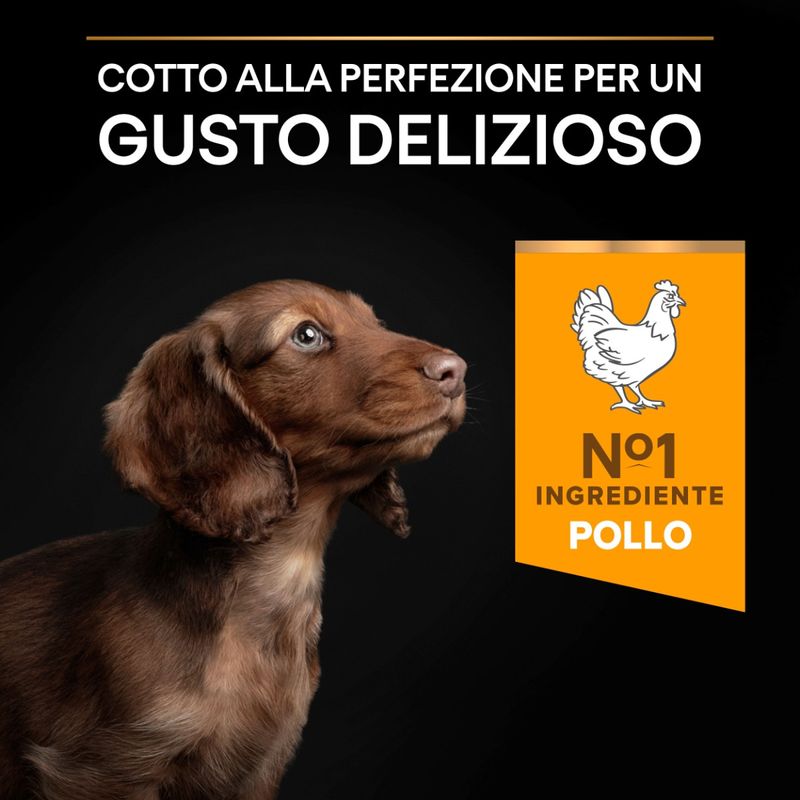 purina-pro-plan-healty-start-large-athletic-puppy-gusto