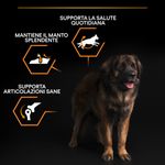 purina-pro-plan-everyday-nutrition-large-robust-adult-cane
