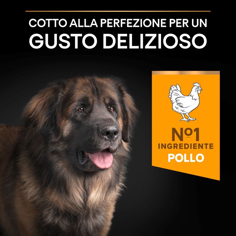 purina-pro-plan-everyday-nutrition-large-robust-adult-gusto