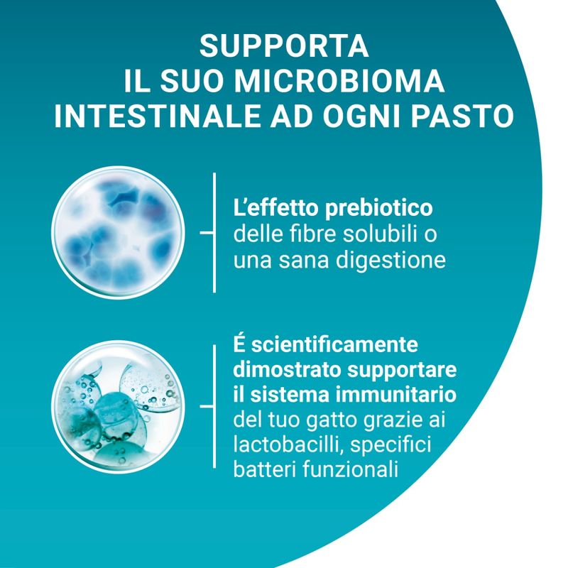 purina-one-sterilised-multipack-supporto