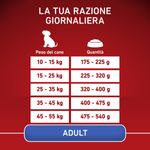 purina-one-cane-adult-pollo-riso-razione