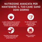 purina-one-cane-adult-pollo-riso-nutrizione