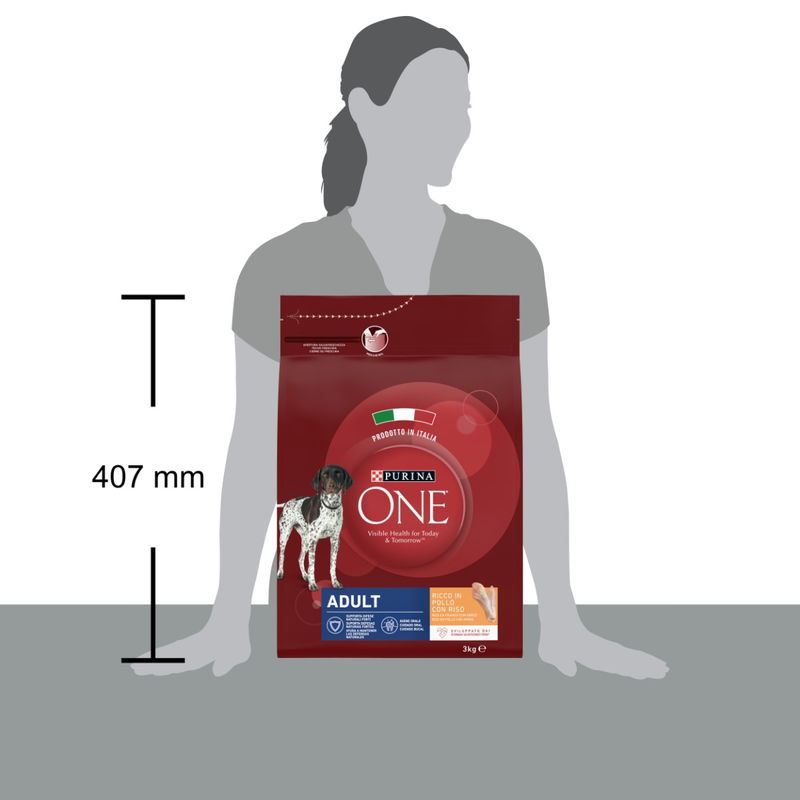 purina-one-cane-adult-pollo-riso-size