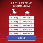 purina-one-cane-adult-agnello-riso-razione