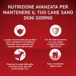 purina-one-cane-adult-agnello-riso-nutrizione