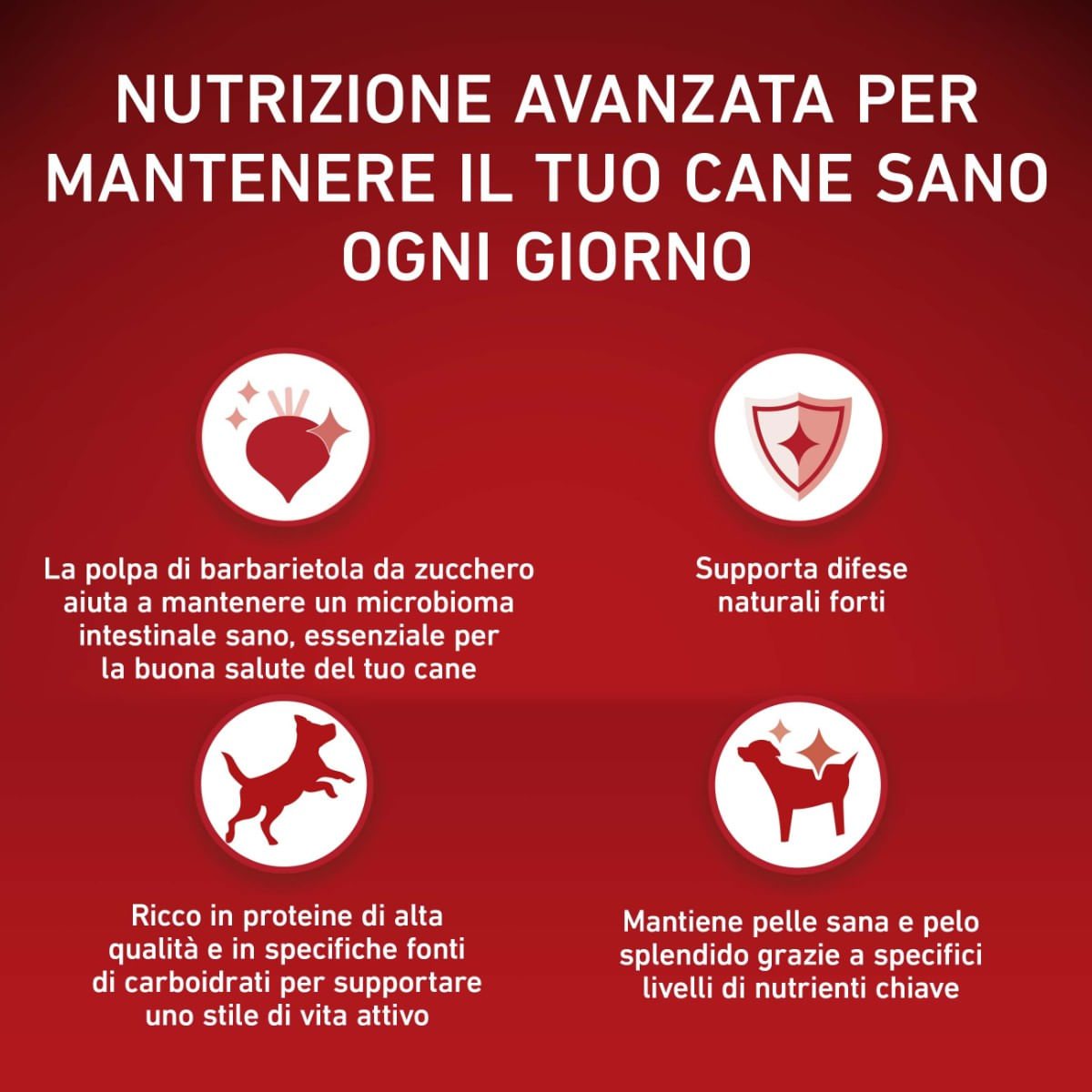 Purina One Cane Active Mini Pollo e Riso | Arcaplanet