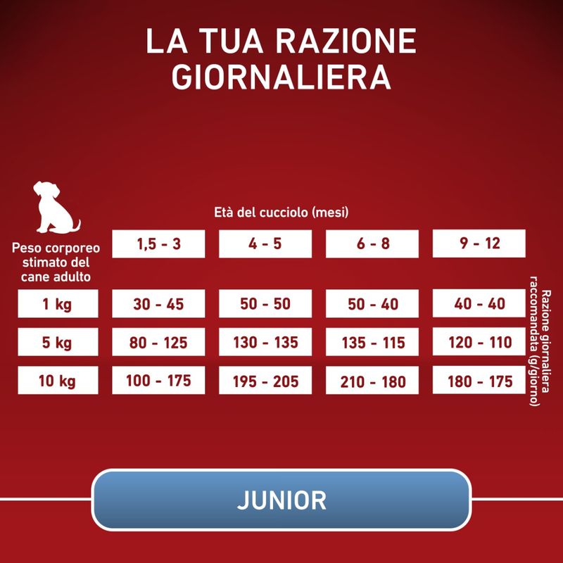 purina-one-cane-junior-mini-pollo-riso-800g-razione