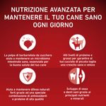 purina-one-cane-junior-mini-pollo-riso-800g-nutrizione