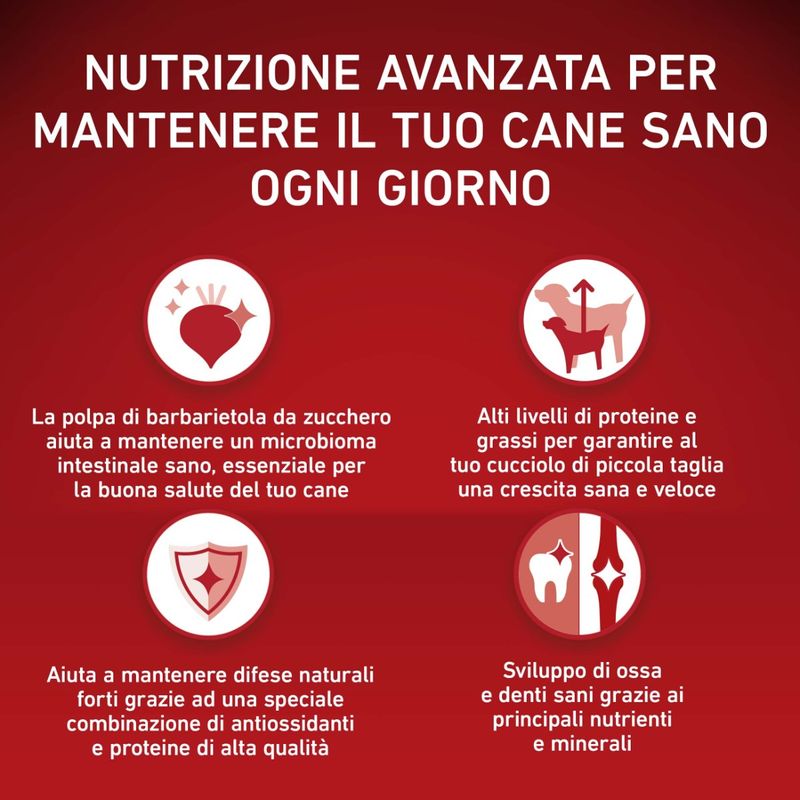 purina-one-cane-junior-mini-pollo-riso-800g-nutrizione