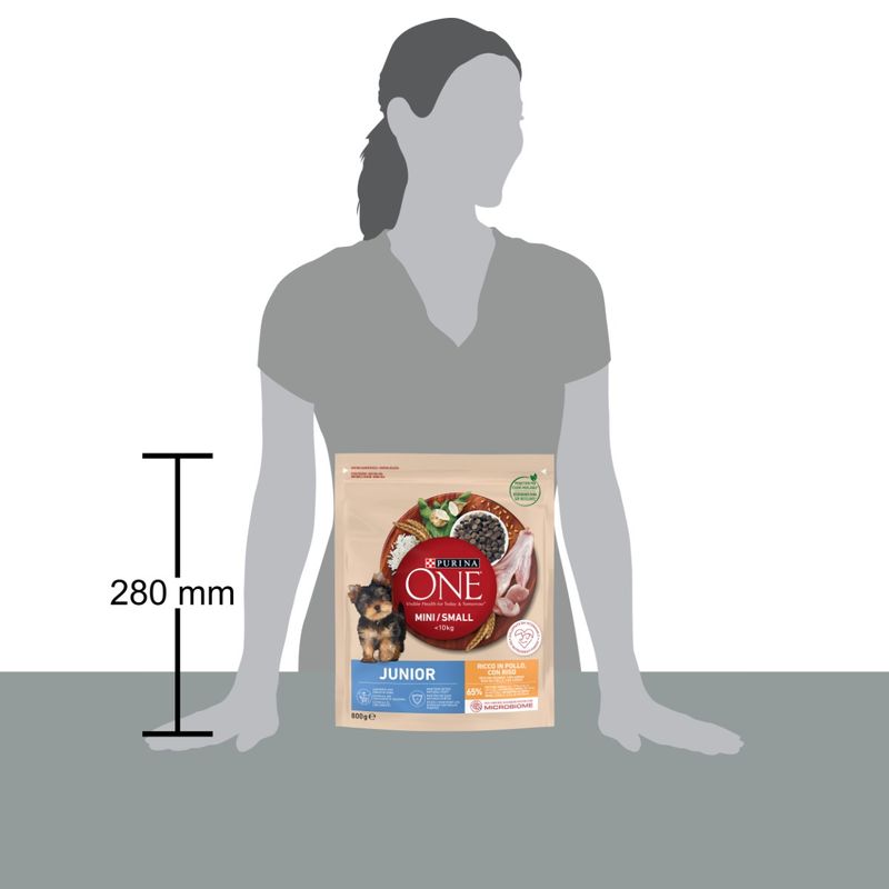 purina-one-cane-junior-mini-pollo-riso-800g-size