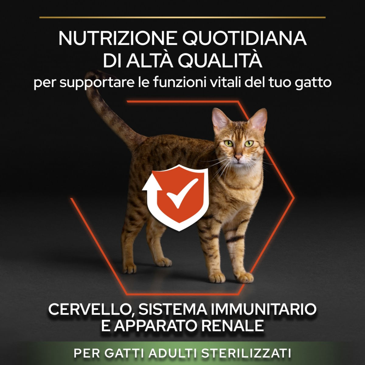 Purina Pro Plan Vital Functions Sterilised Adult 1+ con Salmone