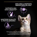 purina-pro-plan-healty-start-kitten-gatto