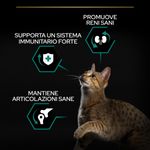 purina-pro-plan-renal-plus-sterilised-1-gatto