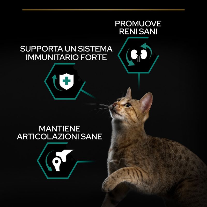 purina-pro-plan-renal-plus-sterilised-1-gatto