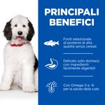 607846_KEY_BENEFITS_ONGOING