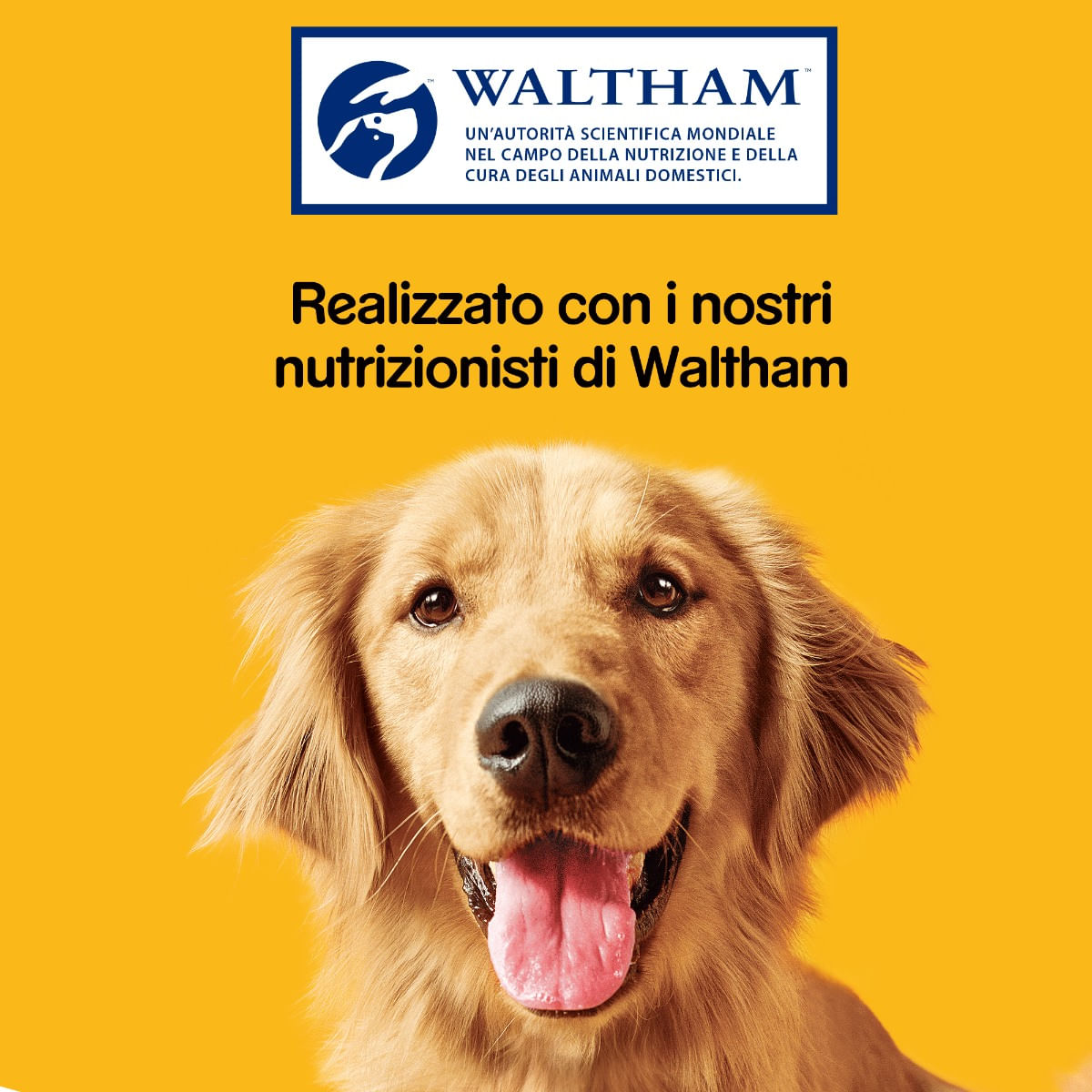 Pedigree Biscotti per Cani Markies 500 Gg