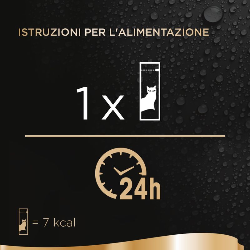 PT04