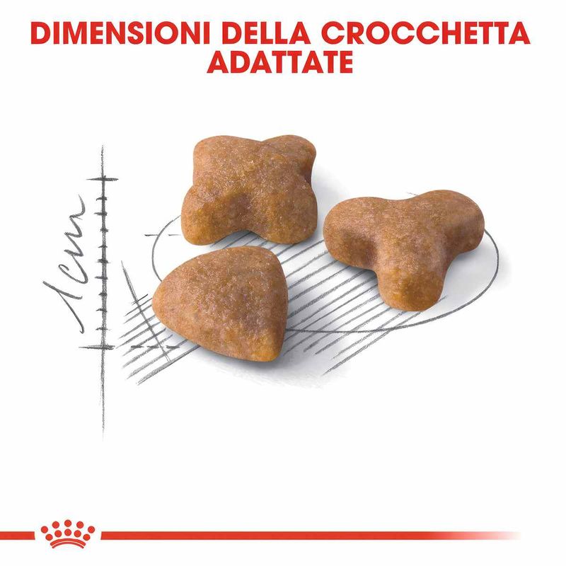 Immagini_1200x1200_Arcaplanet2--1-