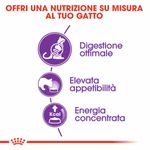 Immagini_1200x1200_Arcaplanet3--1-