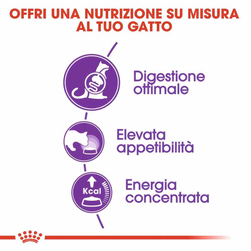 Immagini_1200x1200_Arcaplanet3--1-