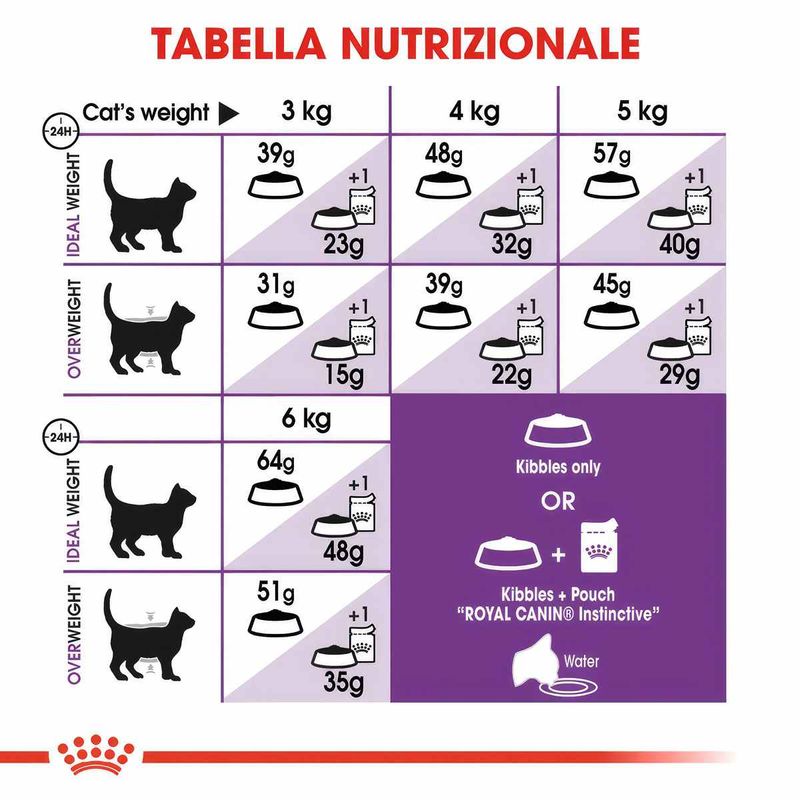 Immagini_1200x1200_Arcaplanet4--1-