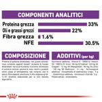Immagini_1200x1200_Arcaplanet5--1-