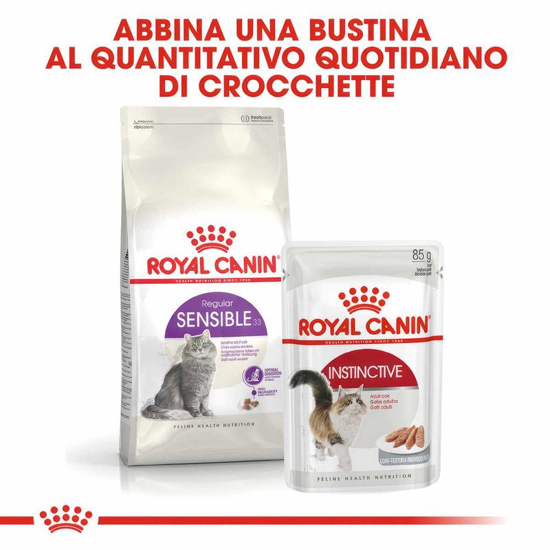 Immagini_1200x1200_Arcaplanet6--1-