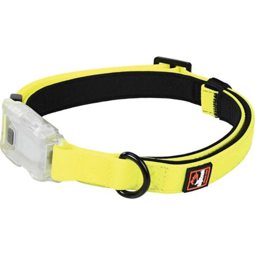 Dogs Creek Collare Light Fading Giallo e Nero