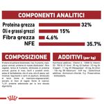 immagini_1200x120026