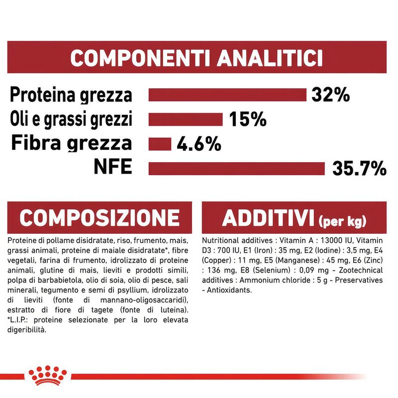 immagini_1200x120026