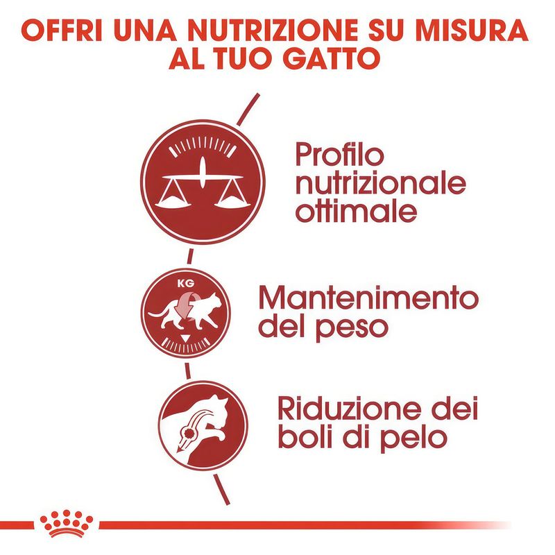 immagini_1200x120024