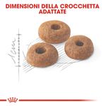 immagini_1200x120023