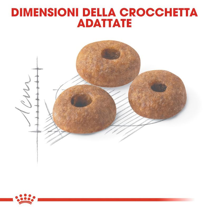 immagini_1200x120023