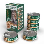 VIRTUS-CAT_multipack_house_1--1-