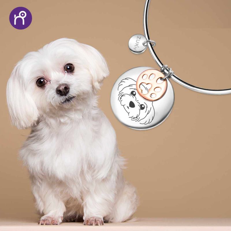 8055774661201_ZUKY-Maltese_visual