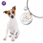 8055774661508_ZUKY-jackrussel_visual