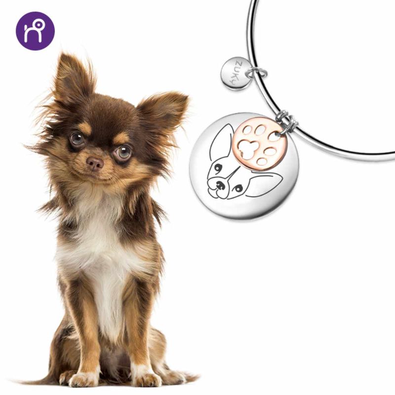 8055774661171_ZUKY-Chihuahua_visual