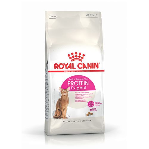 Royal Canin Cat Exigent Protein Alimento completo per gatti adulti molto esigenti di oltre 1 anno di età