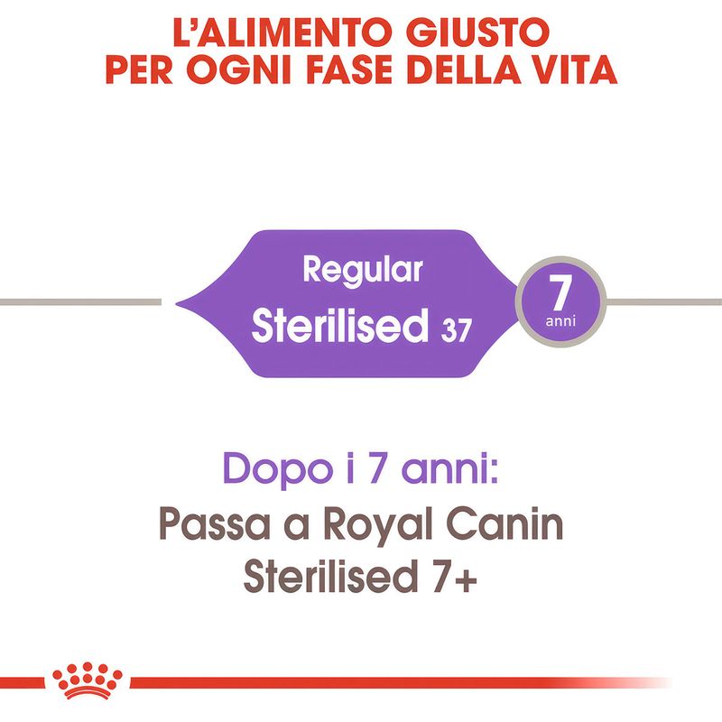 RC-FHN-Sterilised37-CV-Eretailkit-1_-it_IT--1-