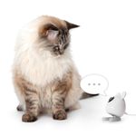 43758_CA2_PIXI_Smart-Mouse-Camera_with-cat-text-bubble_rgb--1-