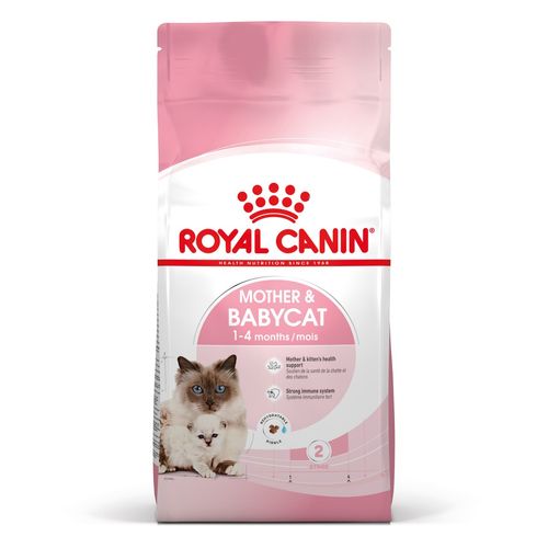Royal Canin Mother & Babycat Alimento completo per gatte e gattini da 1 a 4 mesi di età