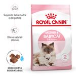 RC-SPT-DRY-Babycat-MV-1-it_IT