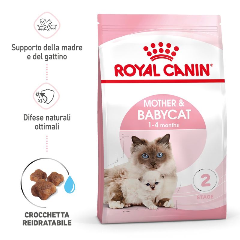 RC-SPT-DRY-Babycat-MV-1-it_IT